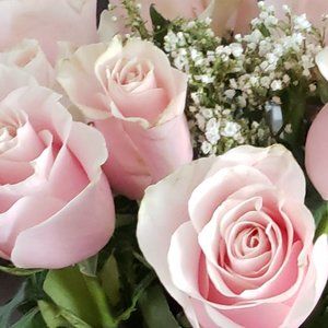 Meet your Posher, Carney